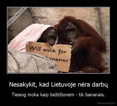 Nesakykit, kad Lietuvoje nėra darbų - Tiesiog moka kaip beždžionėm - tik bananais.