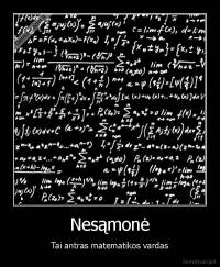 Nesąmonė - Tai antras matematikos vardas