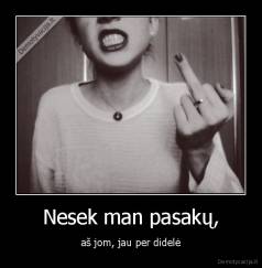 Nesek man pasakų, - aš jom, jau per didelė