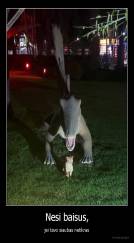 Nesi baisus, - jei tavo siaubas netikras