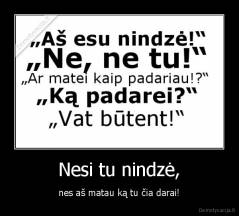 Nesi tu nindzė, - nes aš matau ką tu čia darai!