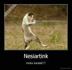 Nesiartink - moku karatė!!!!