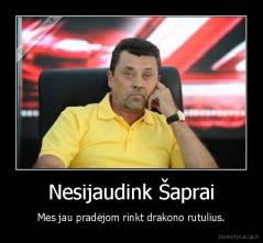 Nesijaudink Šaprai - Mes jau pradėjom rinkt drakono rutulius.