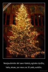 Nesijaudinkite dėl savo Kalėdų eglutės dydžio, - Vaikų akyse, jos visos yra 30 pėdų aukščio.