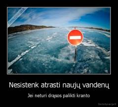 Nesistenk atrasti naujų vandenų - Jei neturi drąsos palikti kranto
