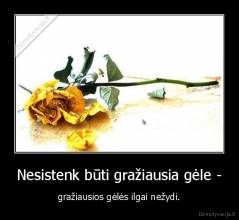 Nesistenk būti gražiausia gėle - - gražiausios gėlės ilgai nežydi.