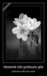 Nesistenk būti gražiausia gėle - gražiausios gėlės ilgai nežydi