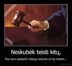 Neskubėk teisti kitų, - Tarp tavo paslapčiu taipogi rastume už ką nuteisti...