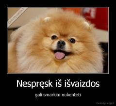 Nespręsk iš išvaizdos - gali smarkiai nukentėti