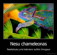 Nesu chameleonas - Nesitaikysiu prie kiekvieno sutikto žmogaus