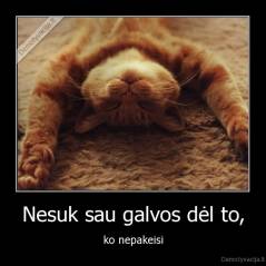 Nesuk sau galvos dėl to, - ko nepakeisi