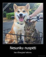 Nesunku nuspėti - kas džiaugiasi kelione.