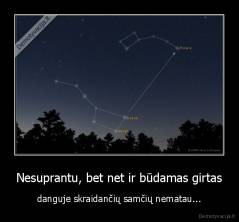 Nesuprantu, bet net ir būdamas girtas - danguje skraidančių samčių nematau...