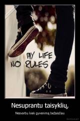 Nesuprantu taisyklių, - Nesvarbu kiek gyvenimą bežaisčiau