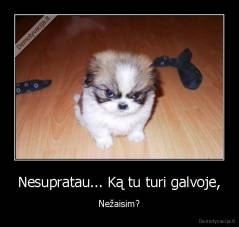 Nesupratau... Ką tu turi galvoje, - Nežaisim?