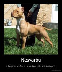 Nesvarbu - Ar šuo kovinis, ar kišeninis - jie visi duoda meilės jei tu jam to duodi.