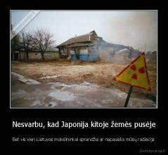 Nesvarbu, kad Japonija kitoje žemės pusėje - Bet vis vien Lietuvos mokslininkai sprendžia ar nepasieks mūsų radiacija