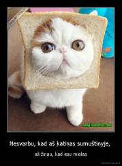 Nesvarbu, kad aš katinas sumuštinyje,  - aš žinau, kad esu mielas
