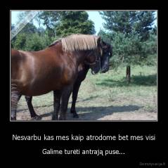 Nesvarbu kas mes kaip atrodome bet mes visi - Galime turėti antrają puse...