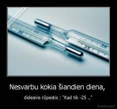 Nesvarbu kokia šiandien diena,  - didesnis rūpestis : "Kad tik -25 .."