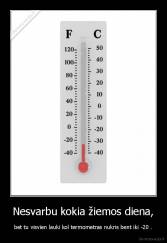 Nesvarbu kokia žiemos diena, - bet tu visvien lauki kol termometras nukris bent iki -20 .