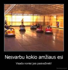 Nesvarbu kokio amžiaus esi - Visada norėsi jais pasivažinėti!