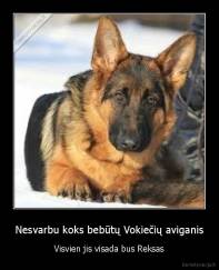 Nesvarbu koks bebūtų Vokiečių aviganis - Visvien jis visada bus Reksas