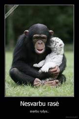 Nesvarbu rasė - svarbu ryšys..