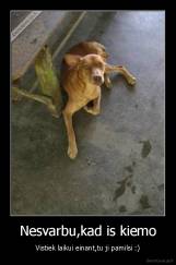 Nesvarbu,kad is kiemo - Vistiek laikui einant,tu ji pamilsi :)