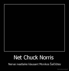Net Chuck Norris  - Nervai neatlaikė klausant Monikos Šalčiūtės