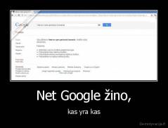 Net Google žino, - kas yra kas