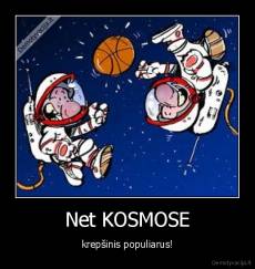Net KOSMOSE - krepšinis populiarus!