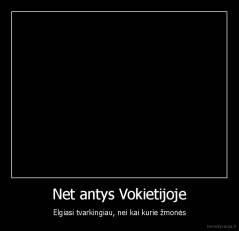 Net antys Vokietijoje - Elgiasi tvarkingiau, nei kai kurie žmonės