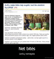 Net bitės - Lenkų nemėgsta