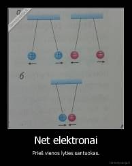 Net elektronai - Prieš vienos lyties santuokas.