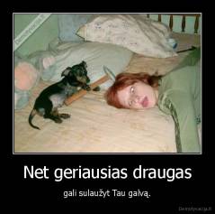 Net geriausias draugas - gali sulaužyt Tau galvą.