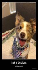 Net ir be akies - jis labai mielas!