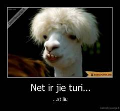 Net ir jie turi... - ...stiliu