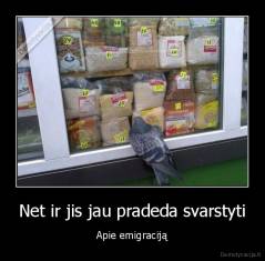 Net ir jis jau pradeda svarstyti - Apie emigraciją