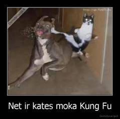 Net ir kates moka Kung Fu - 