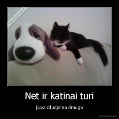 Net ir katinai turi - Įsivaizduojama drauga