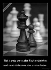 Net ir pats geriausias šachamtininkas - negali numatyti tinkamiausio ėjimo gyvenimo žaidime. 