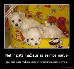 Net ir pats mažiausias šeimos narys- - gali būti pats mylimiausias ir reikšmingiausias šemoje