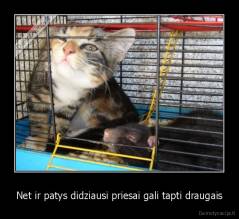 Net ir patys didziausi priesai gali tapti draugais - 