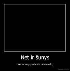 Net ir šunys - randa kaip praleisti laisvalaikį.