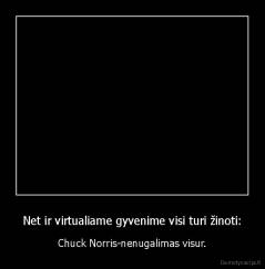 Net ir virtualiame gyvenime visi turi žinoti: - Chuck Norris-nenugalimas visur.
