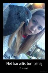 Net karvelis turi paną - O tu - ne!
