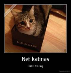 Net katinas - Turi Lexus'ą