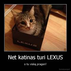Net katinas turi LEXUS - o tu viską prageri!