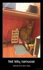 Net lėlių namuose - katinas žino savo vietą